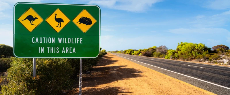 MTU Maintenance Australia: Ein Jahrzehnt Erfolg